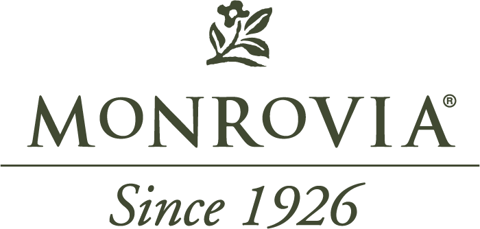 Monrovia | Since 1926_Lock Up