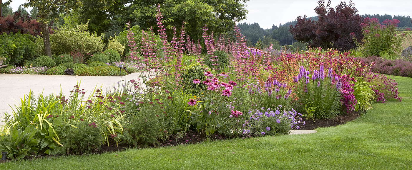 colorful pollinator border with a variety of flowers