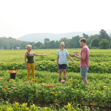 stretch your spine after gardening