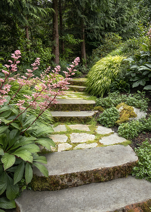 stone pathway through a woodland garden