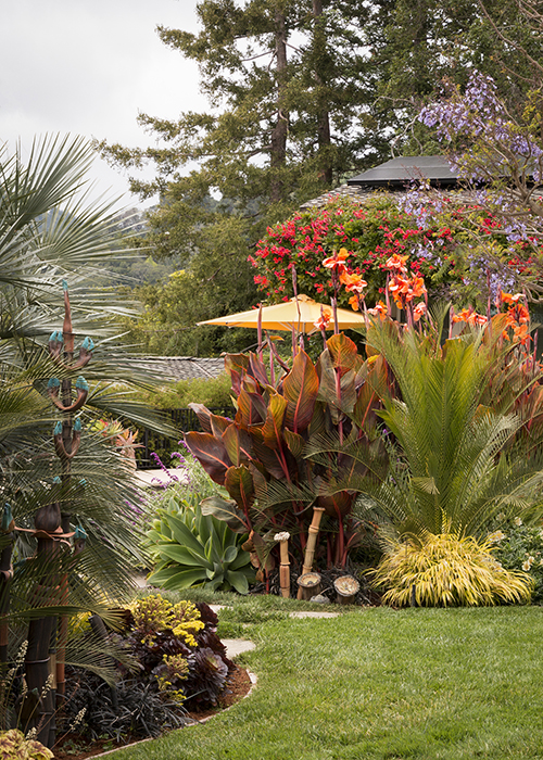 tropical landscape with palms and canna