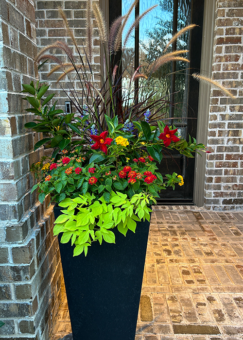 summer container in front of door