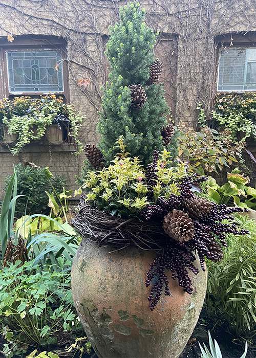 holiday container with pine cones and spruce tree