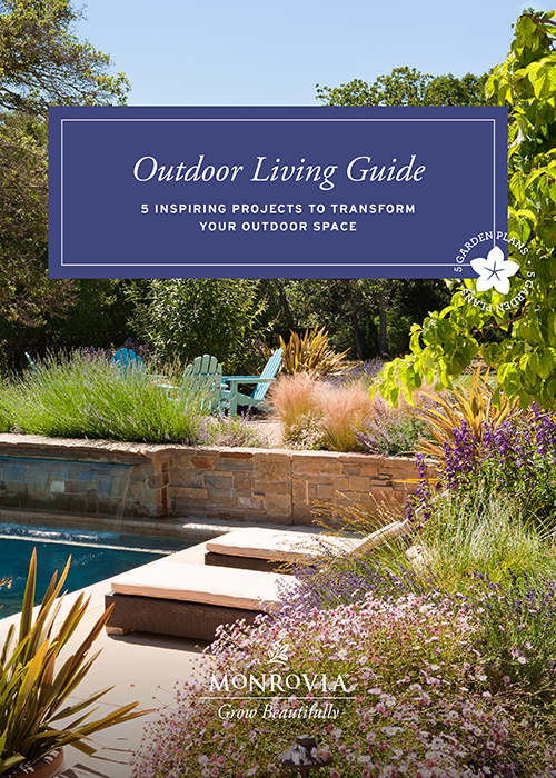 outdoor living project guide cover