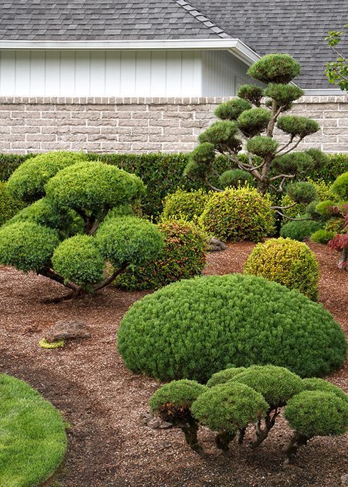 topiary garden