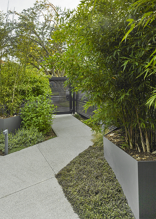narrow walkway garden