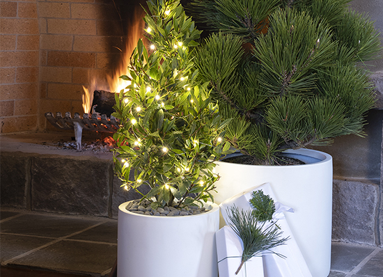 Small gifts and holiday plants in white containers in front of fireplace