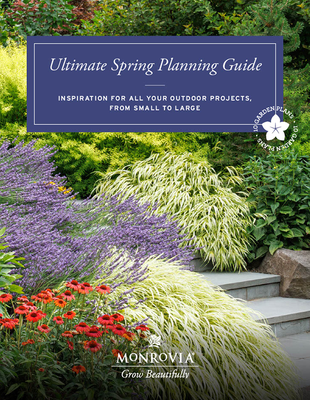 ultimate planning guide digital cover