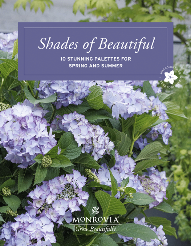 shades of beautiful 2023 guide cover