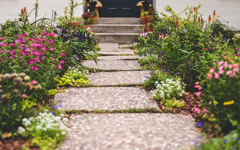 low water plants in entryway cottage garden