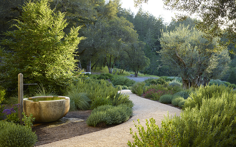 pathway through mediterranean garden with water feature bowl and faucet to left