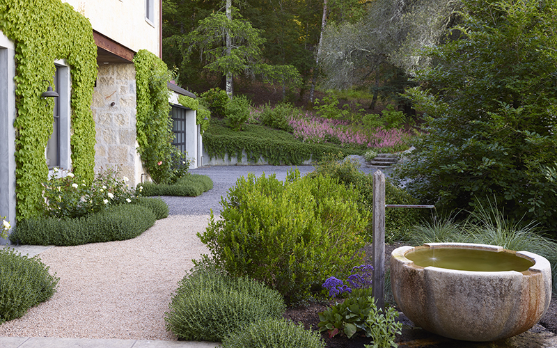 gravel pathway through mediterranean garden