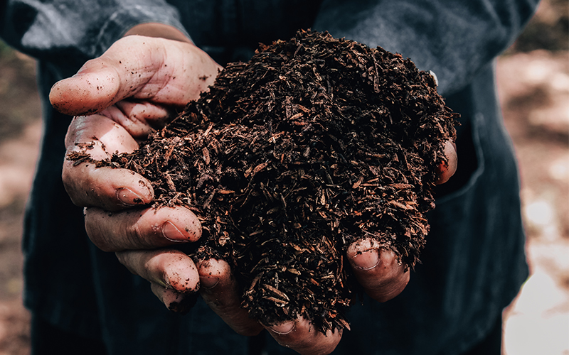 hands with healthy soil in them