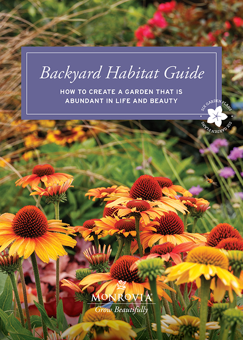 Backyard Habitat digital guide cover