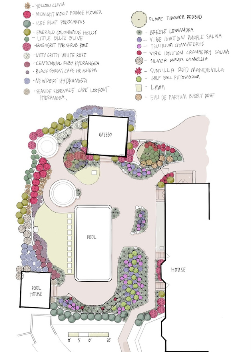 Lisa Nunamakert's landscape design
