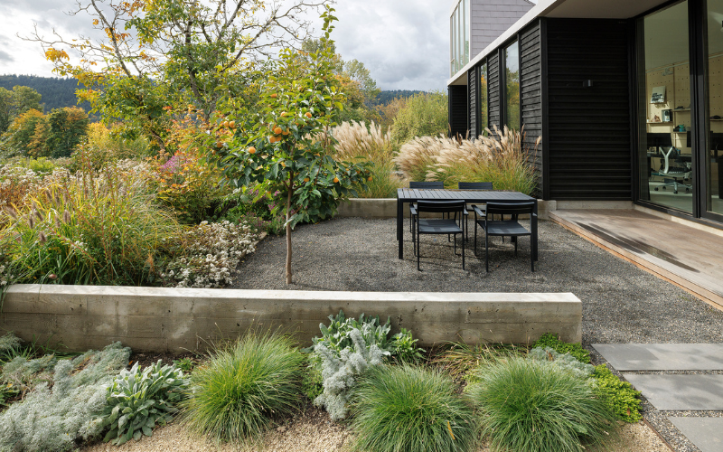 grasses, trees and shrubs in wild meets refined garden