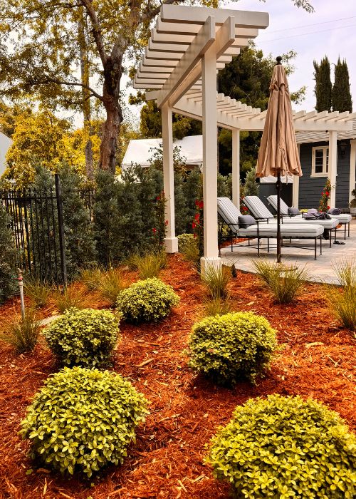 shrubs and pool lounge chairs