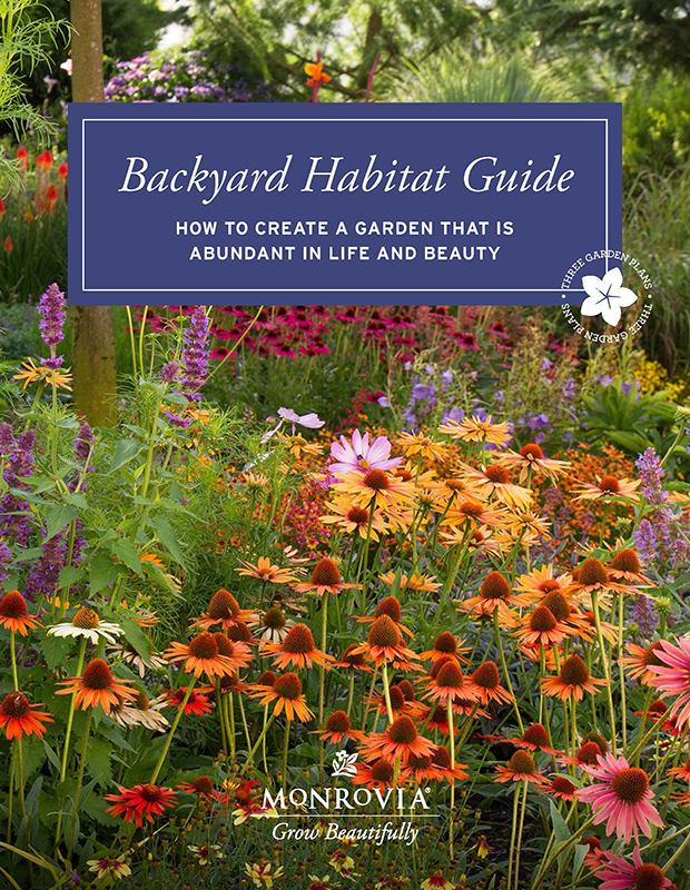 backyard habitat guide digital cover